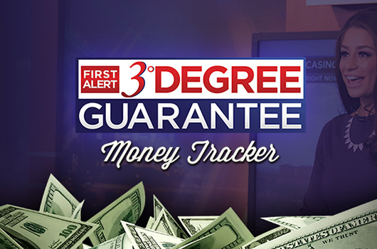 moneytracker_lisavillegas