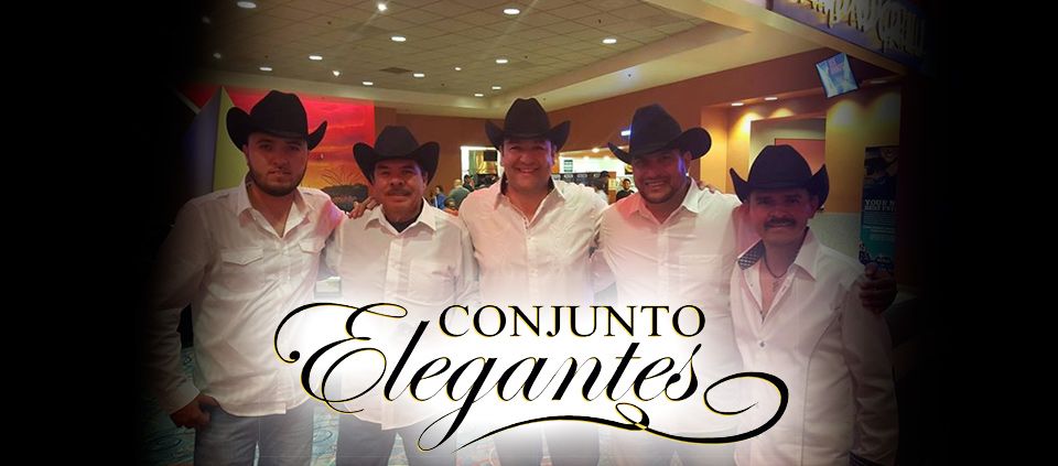 Conjunto Elegantes