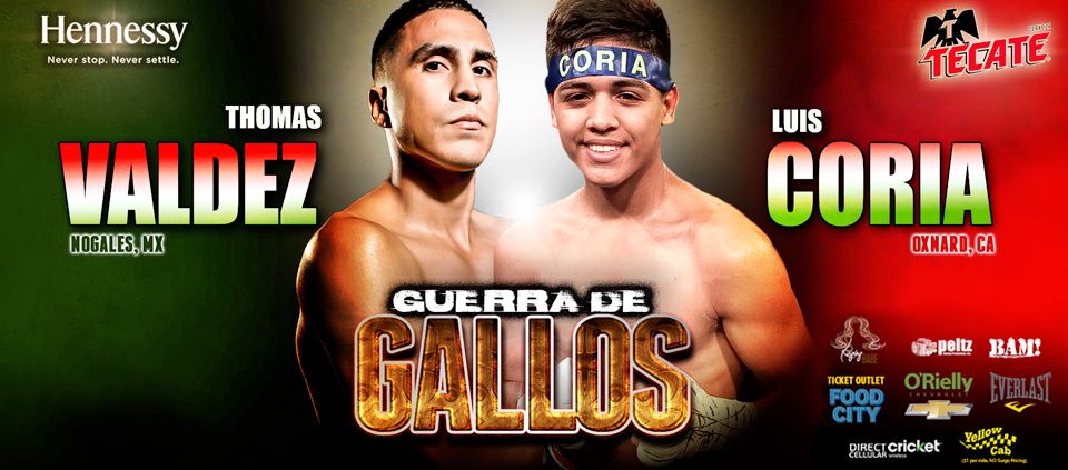 Guerra De Gallos - Live Boxing at AVA Amphitheater