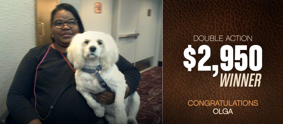 Bingo Winners at Casino Del Sol 