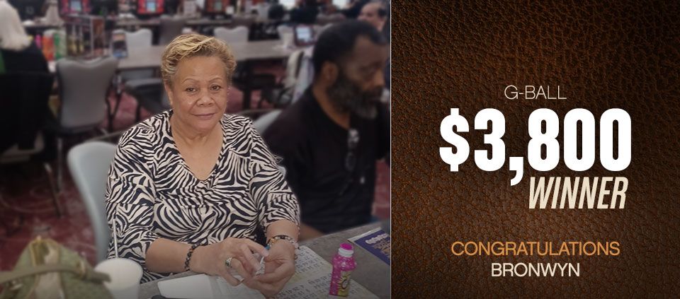 Bingo Winner Casino Del Sol