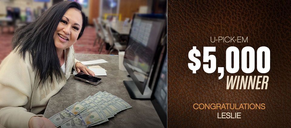 Bingo Winner Casino Del Sol