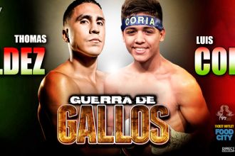 Guerra De Gallos - Live Boxing at AVA Amphitheater